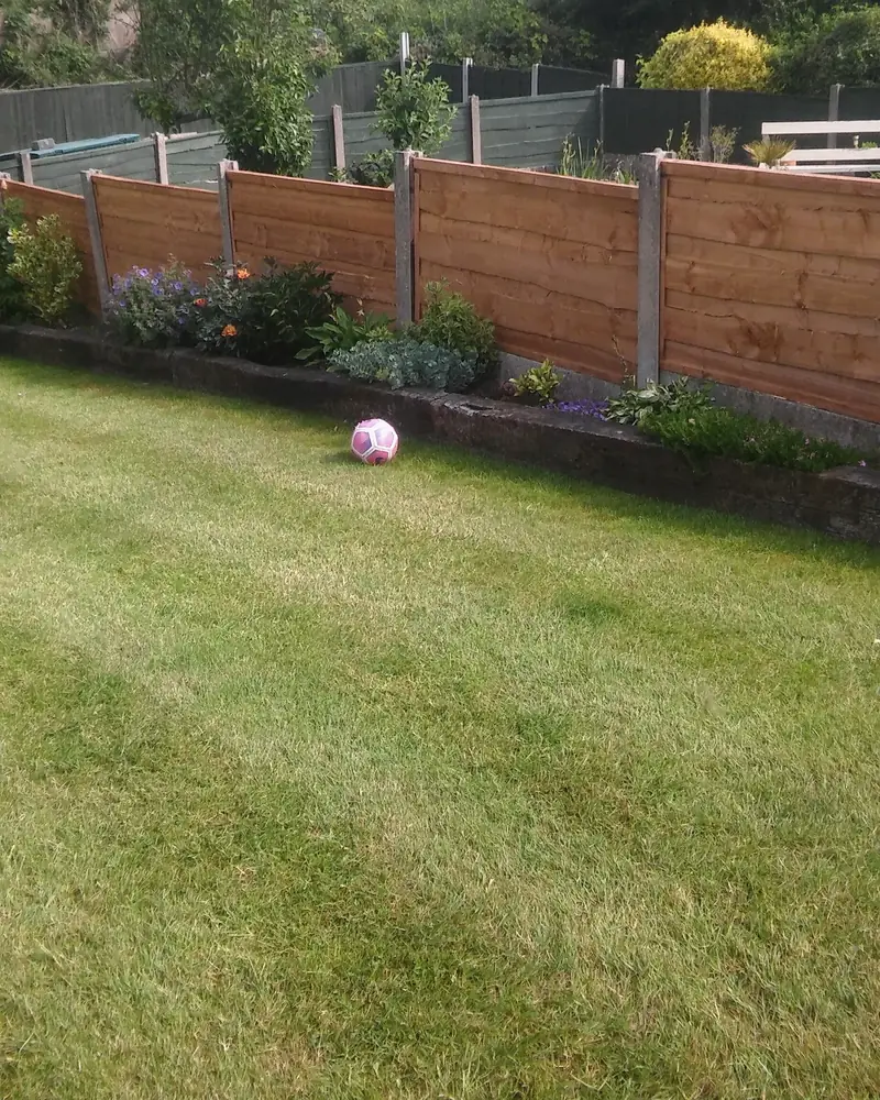 Lawn running up to a row of new fence panels on concrete posts, with planted borders along the bottom