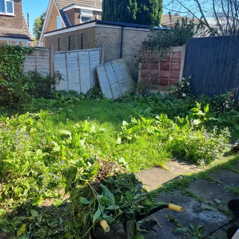 Overgrown back garden before clearance, with long weeds, old fence panels and broken slabs