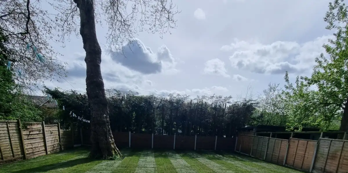 Freshly laid striped turf across a large back garden, laid by MM Contractors